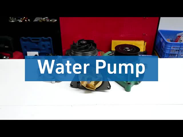 Diesel Motor Dongfeng Truck Water Pump Replacement D5010295150 1307ln01-010 OEM