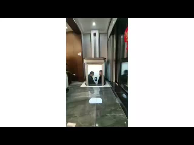 Stylish Home Capsule Elevator | 500-1000kg Capacity