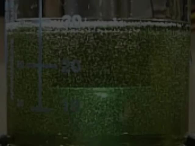 High Frequency Amplitude Ultrasonic Sonochemical Cavitation Processor 1200w