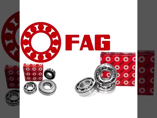 FAG Cylindrical Roller Bearing / INA Cylindrical Roller Bearing For Gearbox video