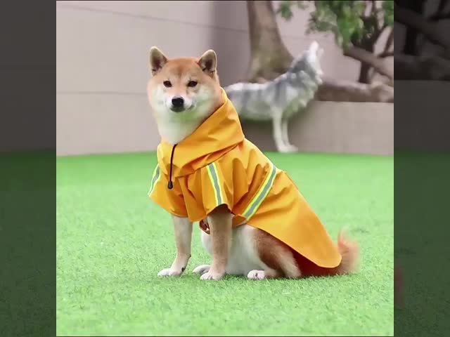 Windproof Big Dog Raincoat Reflective Strip Dog Rain Jacket For Outdoor Hiking