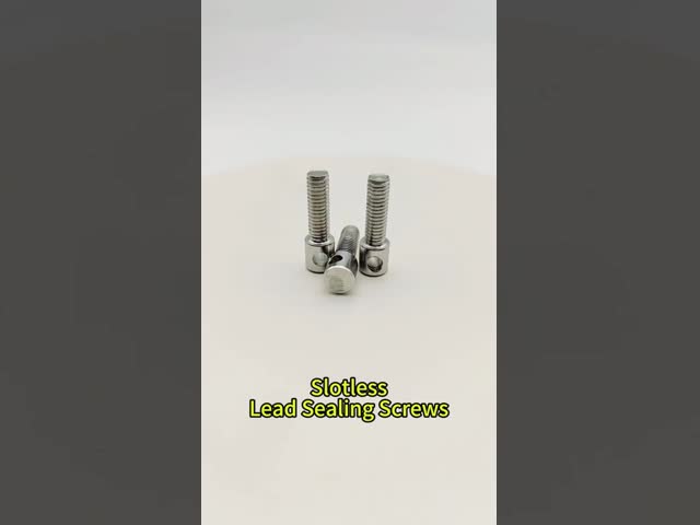 304 Stainless Steel Slotless Tamper Proof Sealing Screws M4 M5 M6