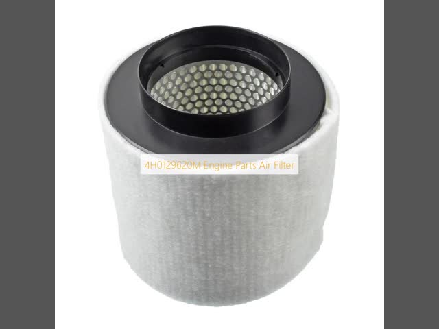 4H0129620M Engine Parts Air Filter