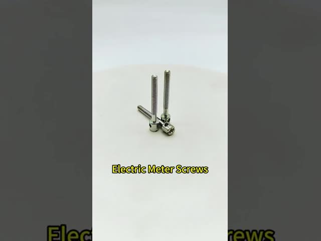 304 Stainless Steel Electric Meter Screws M4 M5 Tamper Proof