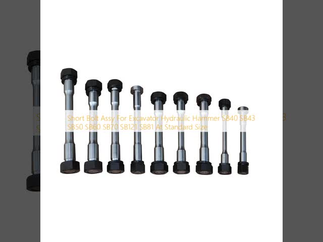 Short Bolt Assy  For Excavator Hydraulic Hammer SB40 SB43 SB50 SB60 SB70 SB121 SB81 At Standard Size