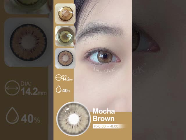 Astigmatic Brown Toric Colored Contact Lenses HEMA Material 14.2mm Diameter For Myopia