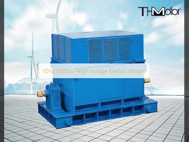 YK5000-2 High Voltage Motor 5000kW 10kV 50Hz