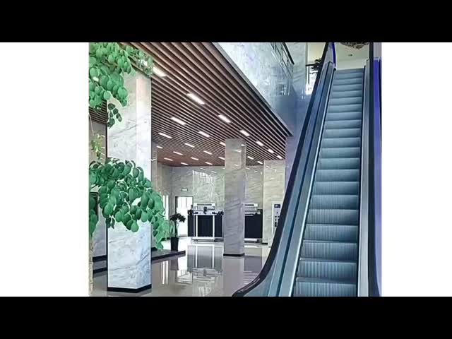 High-Capacity Airport Moving Walkway | Durable Stainless Steel