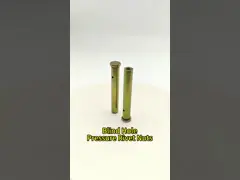 Stainless Steel Blind Hole Rivet Nut Column M6-M12 Yellow Zinc Plated