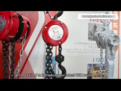 Chain Hoist JTVSK N.W. 6.6-29.5KG Alloy Steel and Lifting Height of 3 Meters for Heavy-Duty Lifting Needs