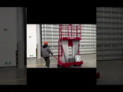 10 Meters Height Aerial Work Platform Double Mast Hydraulic Vertical Lift Table