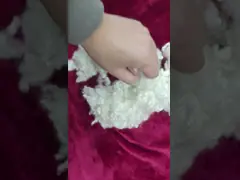 China Powerful Polyester Nylon Blend Fabric Windproof And Lightweight supplier