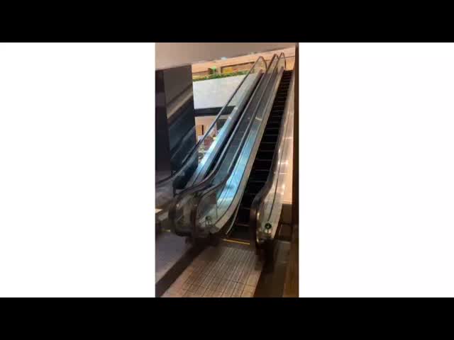 Energy-Efficient Supermarket Escalator | Smooth VVVF Control