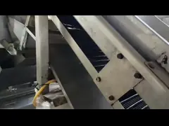 China Advanced Split Peanut Blanching Machine Nut Processing Equipment 800-1000kg/H supplier