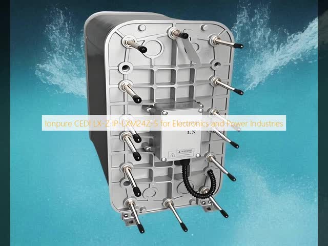 Good Water Quality Ionpure CEDI LX-Z IP-LXM24Z-5 For Biopharmaceutical Industry
