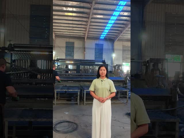 7 Days Delivery Galvanized PVC Coated Stackable Gabion Mesh Wall for Flood Gabion Retaining Wall