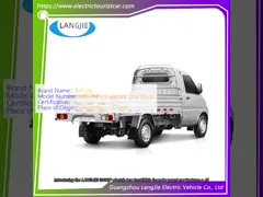 Resort Car 2  Passenger Electric Freigjt Car  Electric Box Truck RWD Drive For Park
