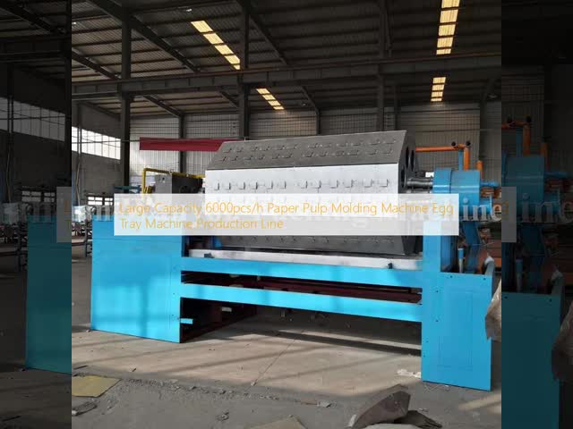 Recycled 2000pcs/h Paper Egg Tray Machine Pulp Molding Machine Pulp Tray Making Machine