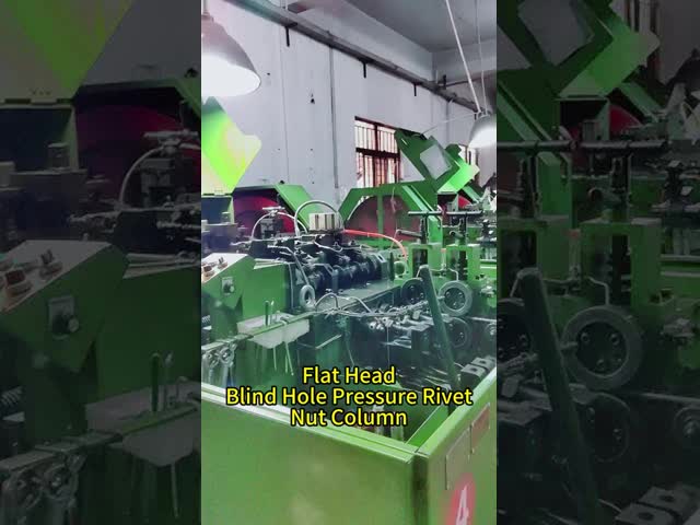 Stainless Steel Flat Head Rivet Nut M3-M8 Zinc Plated