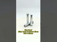 Stainless Steel Flat Head Rivet Nut M3-M8 Zinc Plated