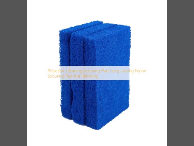 Polyester Cleaning Scouring Pad Long Lasting Nylon Scouring Pad Anti Blocking