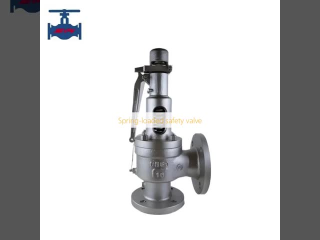 Spring-Loaded Safety Valve ISO9001 Certified for Water Steam Oil
