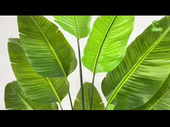 China Green Monstera Artificial Potted Floor Plants 180cm Height supplier