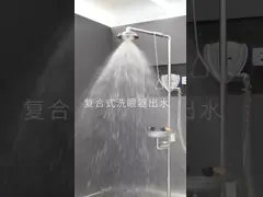 ANSI-Compliant Stainless Steel Combination Shower and Eyewash Station