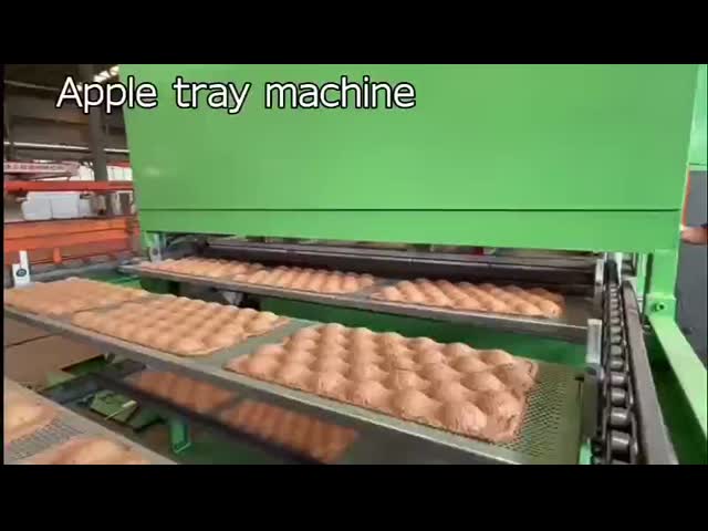 High Efficiency Paper Pulp Egg Tray Machine Prcie , Egg Carton/Fruit Tray Making Machine