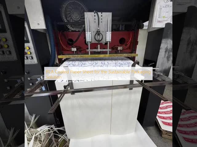 PLA Coated Paper Sheet for the Sustainable Packaging Solution
