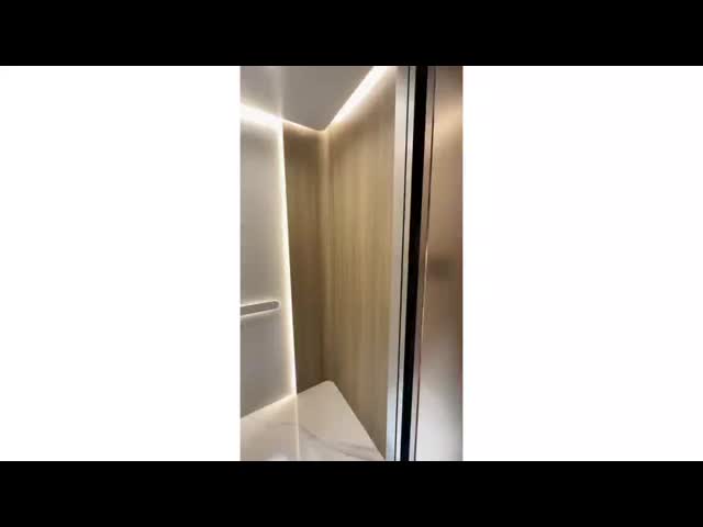 Automatic Home Elevator | 400kg Screw-Driven Lift with Sliding Door