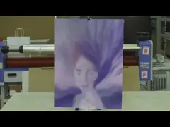 PS Lenticular Panel 3.25mm Thickness 10 Lpi 20 Lpi  1200 X 2400mm