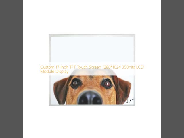 350nits TFT Touch Screen 17 Inch LVDS Touch Screen Display 1280x1024 Resolution