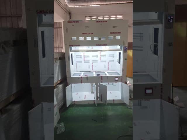 Custom 220V/110V Voltage Chemical Fume Hood with Scrubber Solutions and LED Lighting Performance