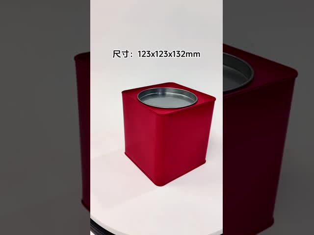 DADI Spices Herbs Square Tea Tin Box, Rust Resistant Leak-proof Tea Tin Canisters