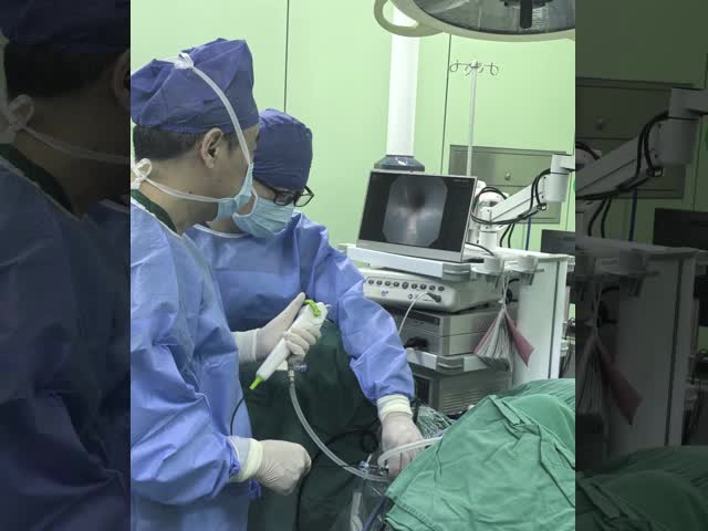 Safety Flexible Fiberoptic Endoscope With Integrated Laser Lithotripsy