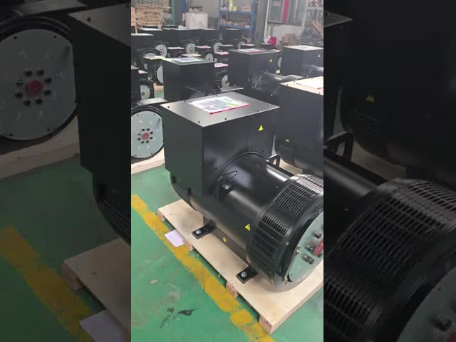 22.7A Single Phase Diesel Generator with Brushless Alternator