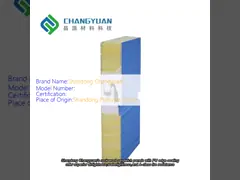 China Customizable Cleanroom Wall Panel Width 950/1050mm for Personalized Cleanroom Solutions supplier