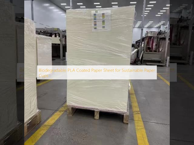 Biodegradable PLA Coated Paper Sheet for Sustainable Paper Cups
