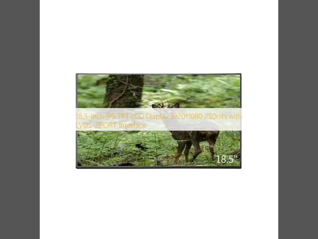 240x320 Customized TFT LCD Module Wide Temp Automotive TFT LCD Display 2.4 Inch