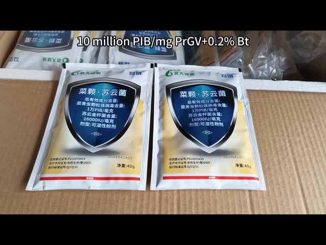 Biological Powder Insecticide To Eliminate Diamondback Moth Cabbage Worm