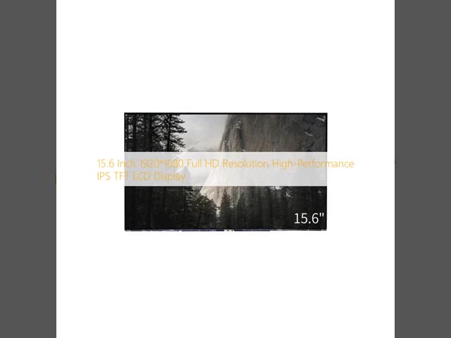 15.6 Inch HD TFT LCD Display IPS LCD Screen Panel 1920x1080 With EDP Interface