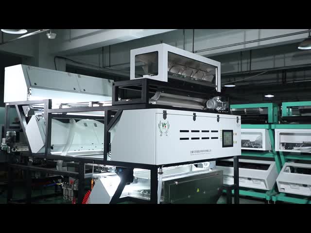 WENYAO Optical Belt Color Sorter Hibiscus Cinamon Sticks Chili Color Sorting Machine with High Sorting Accuracy