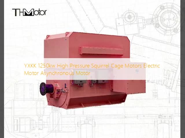 YXKK 1250kW High Pressure Squirrel Cage Asynchronous Motor