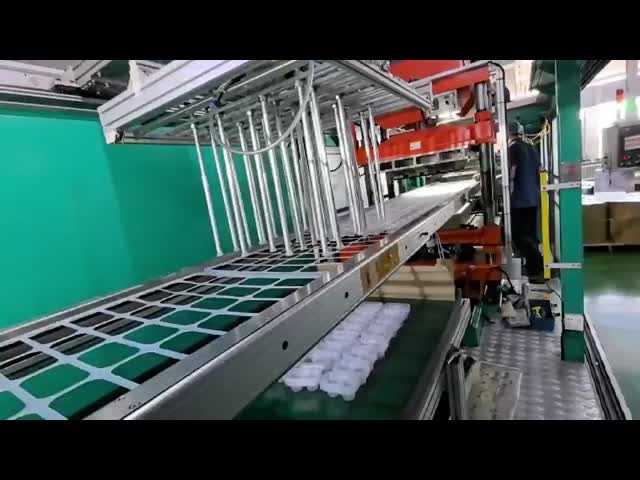 Customized Plastic Bakery Boxes 6 Cells Round PP 0.6mm Thickness For White Mochi