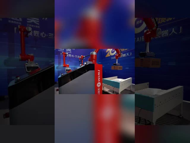 Revolutionize Palletizing With Palletizing Visual Recognition Technology