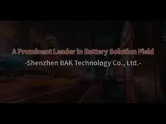 China 6000mAh Li Polymer Battery Cell 635061P 1S2P 3.8V Rechargeable Li Polymer Battery Pack supplier