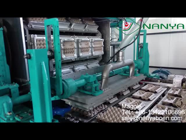 Fully Automatic Recycle Paper Egg Tray Machine With SIEMENS Control