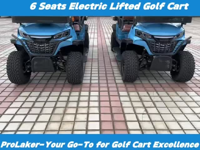 6 Seats Electric Lifted Golf Cart With Lead-acid Battery 8-10 Hours Charge Time 110V AC To DC 48V 20A Smart On-board Charger