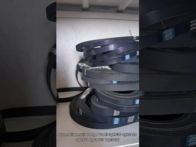 EPDM Poly V Ribbed Belt 20pk 1180 8pk 1940 OEM 2600020253/VG1246060082 Auto Engine Serpentine Belt